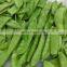 Sinocharm New Season Sweet Crisp Organic Frozen Snow Peas Non Worm IQF Whole Peapod