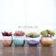 Multi Colors Small Matte Ceramic Flower Pots And Planters Mini Flower Pots Ceramic Pot