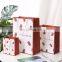 2022 New Arrival Wholesale Strawberry Cartoon Gift Box Paper Packaging Bag