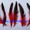 Half-Bronze Rooster/Cock/Coque Schlappens Feather for Wholesale from China