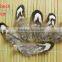 wholesale diy feather decorative craft feather