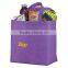 ECO-friendly Colorful Fruit Shopping Bag idea product 2015
