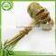 Advertising Quick Releasemoso Bamboo Plants With Flower Knot Sticks