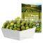 delicious original taste green peas snack food
