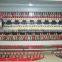 China Supply Best Quality Pencil Edge Glass Edging Machine
