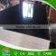 Flim faced plywood