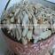 Sunflower seeds Kernels/confectionary &bakery high quality