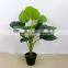 fresh design cheap artificial plants artificial money tree