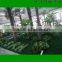 Landscape Design/Artificial Landscape plants