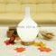 Aroma Humidifier with single warm color LED lights