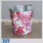 Elegant paint gardening bucket