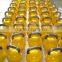 Kettlebells,competition kettlebell,32kg Adjustable kettlebells