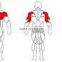 High Quality Chest Press Fitness Equipment-JG-1901