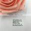 Wholesale 100% Polyester 1-1/4 inch Grosgrain Ribbon