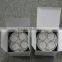 16pcs 3W Led Grow Light PAR 30 Led Grow Light E27 Led Grow Light for Vegetable Seed