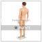 PP material male mannequin for sales