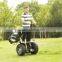2016 hot sell two wheel electric chariot golf scooter