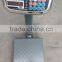 precision electronic price computing platform scale cheakered weighing apparatus