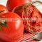 100% pure canned or tinned tomato paste at distribution price