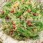 Healthy Mediterranean Orzo. High Quality Barley. 100% Durum Wheat semolina flour. Bag 1Kg Orzo Barley Thick Grain.