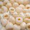 Chinese Brands Canned Fruit Fresh Sweet Canned Lychee Fruit in Syrup