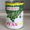 Good quality canned greenpeas