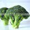 AD Broccoli Flower
