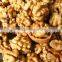 Spiral hot oil press machine / peanut oil press machine