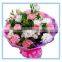 Various Colors Fresh Carnation Flowers