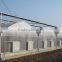 Cheap multi-span plastic greenhouse for fruits