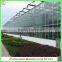 Customer Design Commercial Glass Greenhouses for Roses/strawberry/tomatoes Planting