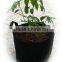 20 gallon Fabric Grow Pot Grow Bag