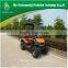 2 Seater mini golf cart for sale