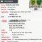 Lucky heart plants for home artificial small potted plants