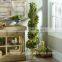 More styles from our designer , Made in China famous from oversea. artificial plants for outdoor gardens whosale