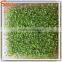 hot sale Mini lanscape projects used colorful high simulation grass cheap landscaping garden grass