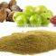 Triphala Extract