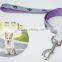 Fashion ECO-friendly Refective Silkcreen Logo Plus Nylon Dog Collar And Dog Leash