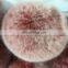 Fashion Charm Genuine Rex Rabbit Fur pom pom for keychain/ handbag pendant - Red Frosted