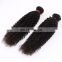 New design Best sale style TOP quality Virgin remy hair noble hair extensions dreadlocks