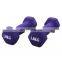 Workout Dumbbells Custom Color Plastic Coated Small Dumbbell Dip Plastic Dumbbells