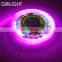 Led light ip65 led pixel ws2811 12mm rgb led pixels diffuser led tape