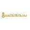 Competitive Price Veterinary Bone 1.1mm T Type Plate (B Series) Orthopedic Trauma Implants