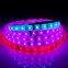 Flexible LED Strips Light 60LEDS/m RGB LED Strip DMX512