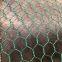 PVC Coated, Chicken Wire Netting for Animals Pet Wire Mesh