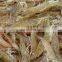 Good Price 100kg/h IQF quick freezing sea food fish squid lobster tunnel freezer sea food price