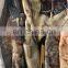 china giant squid frozen peru giant squid dosidicus gigas 300-500 500-1000