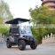 2022  newest hot sale cheap 2 seats 4seats  electric golf /buggy carts with curtis controller