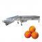 Passion Fruit Grading Machine Mandarin Orange Citrus Fruit Sorting Equipment