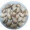 pistachio with premium quality cheap price wholesale bulk supplier